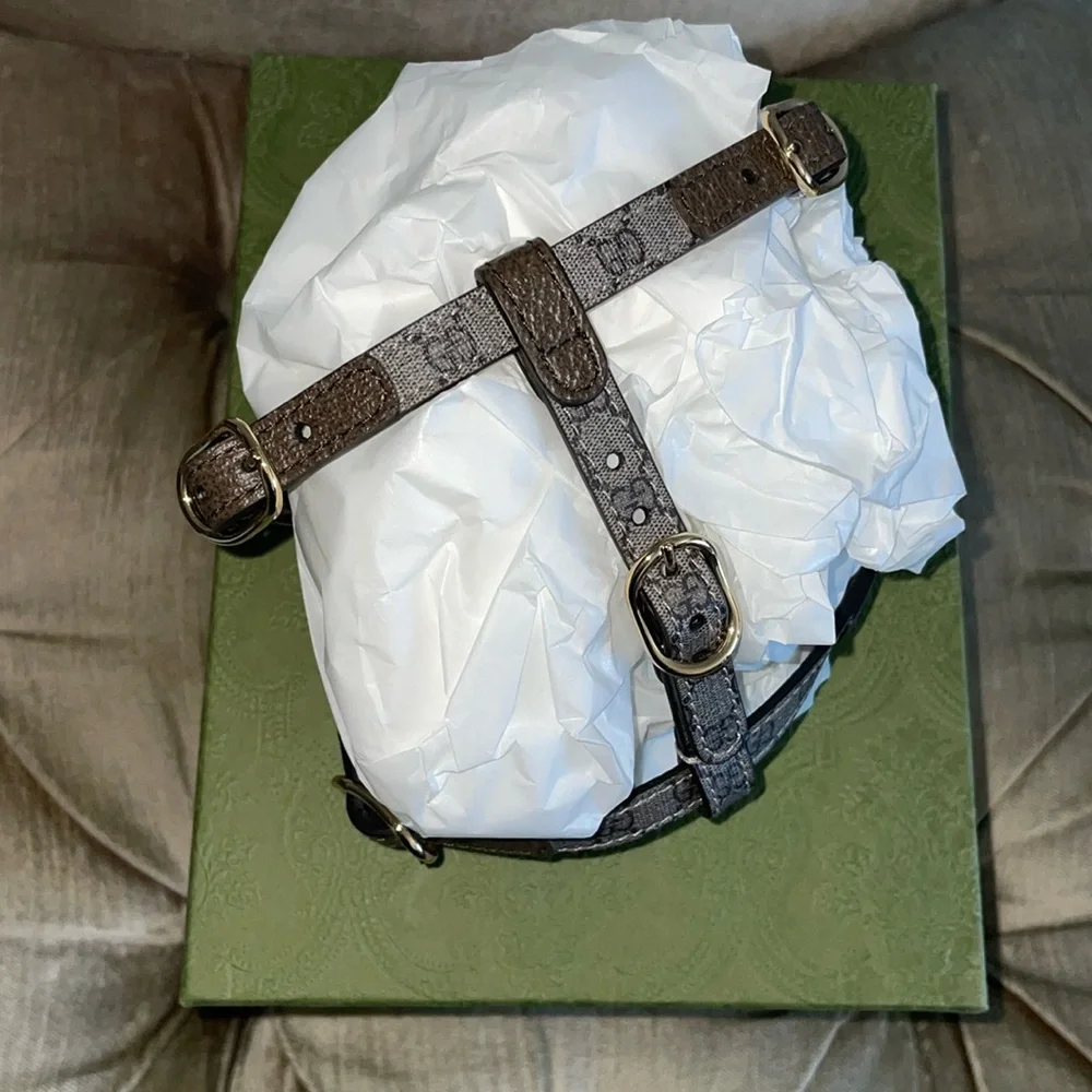 Nwot Gucci ex small pet harness